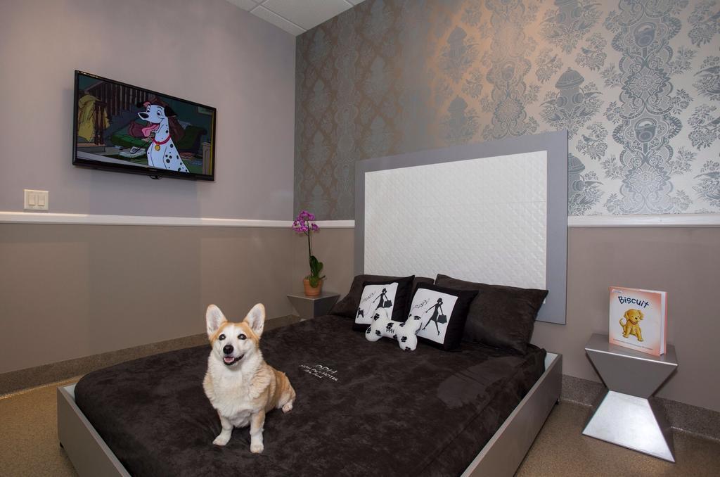 Freer Motel מראה חיצוני תמונה